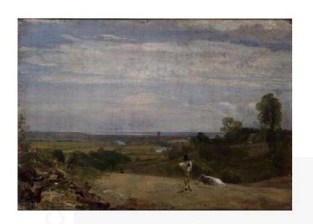 John Constable Summer morning: Dedham from Langham China oil painting art